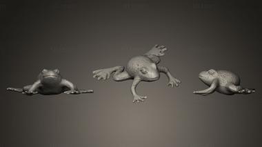 3D model Frog (STL)